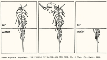 Family of water, fire, air and earth: water – fire static